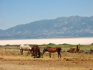 Fielding Garr Ranch on Antelope Island