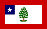 Flag of Mississippi(March 30, 1861 – August 22, 1865)