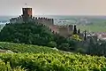 The Soave Estate