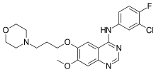 Gefitinib for treatment of non-small-cell lung carcinoma.