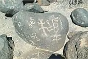 Painted Rock Petroglyph Site