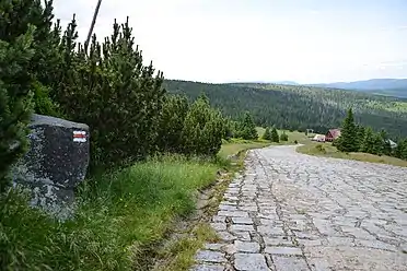 Trail towards Hala Szrenicka