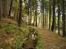 The Graben Tour walk. Left: the old water channel