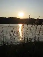 Another Temagami summer sunset.