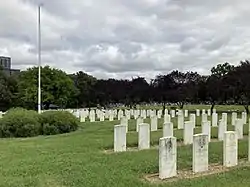 Colour photograph of gravestones