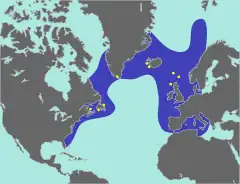 A map showing the range of the great auk, with the coasts of North America and Europe forming two boundaries, a line stretching from New England to northern Portugal the southern boundary, and the northern boundary wrapping around the southern shore of Greenland