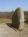 A glacial erratic as boundary stone