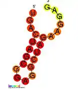 HIV-1_SL3:  Secondary structure taken from the Rfam database. Family RF01381