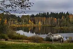 Tsilgutaja väikejärv, a lake near the village