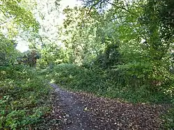 Haymill Valley