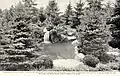 Rock garden pond of David Hill at D. Hill Nursery, Dundee, IL, c.1920