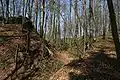 Old wall remains and ditch and bank system