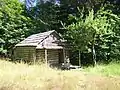 Humes Ranch Cabin and 100-year-old apple tree