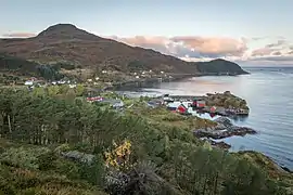 Husevåg