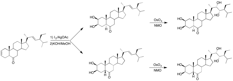 Reactions showcasing dihydroxylation steps.