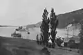 Passenger steamer on Bras d'Or Lake near New Campbellton, ca 1903.