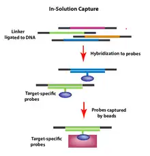 In-Solution Capture