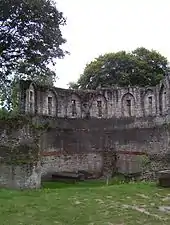 The narrow windows as seen from inside the ruins of the tower. Grass is growing along the inside walls.