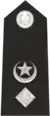 Insignia Of Superintendent (more than 8 years' service)