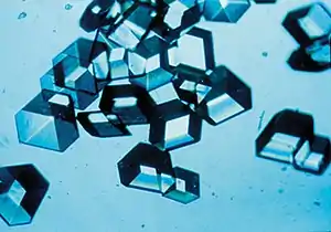 Image 13Synthetic insulin crystals synthesized using recombinant DNA technology (from History of biotechnology)