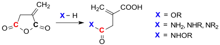 Reaktionen von Itaconsäureanhydrid mit Nukleophilen