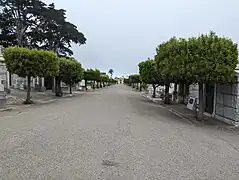 Tree-lined Colombo Avenue