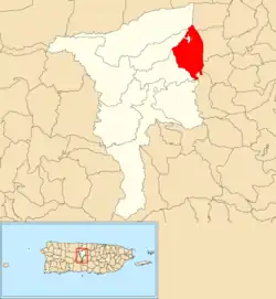 Location of Jaguas within the municipality of Ciales shown in red