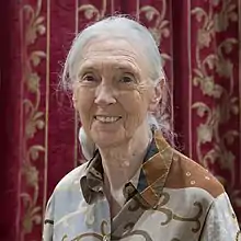 Jane Goodall: Primatologist and Anthropologist