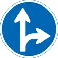 Only straight ahead or right turn permitted