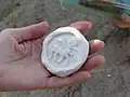 Kafir Kala seal find.