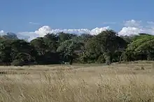 Riverside savanna and woodland habitat, Mpanda,Tanzania