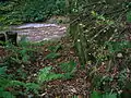 Looking along the pit towards the Glazert Water.