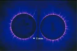 Kirlian photo of two coins.