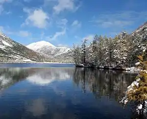 Okhotsk-Manchurian taiga