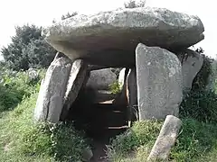 The gallery grave