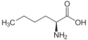 norleucine (n-butyl side-chain)