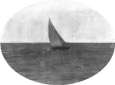 6 Metre