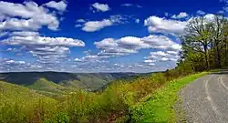 Pine Creek Gorge