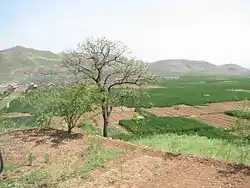 Farms in Linzhou, Henan, irrigated by the Red Flag Canal