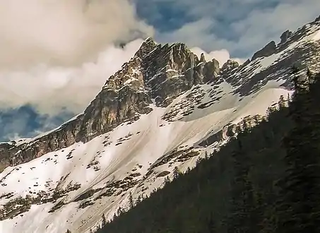 From Avalanche Lake