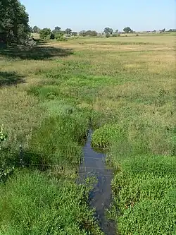 small creek, no water visible further upstream