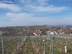 View of Radenski Vrh from Kapelski Vrh