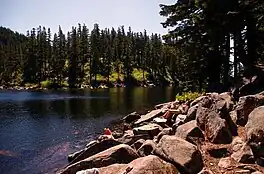 Aerial view of Mason Lake