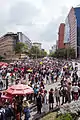 Anti-Imposition Protest in Mexico City.