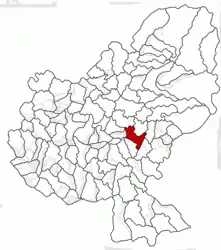 Location in Mureș County