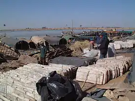 Unloading rock salt from Taoudenni