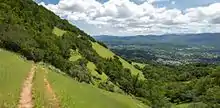 A trail leads toward a copse on a steep hill