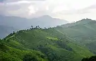 Road number 1256 on a ridge near Doi Phu Kha