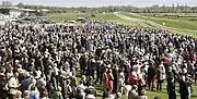 Crowds at Newbury Racecourse