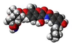 Space-filling model of the novobiocin molecule